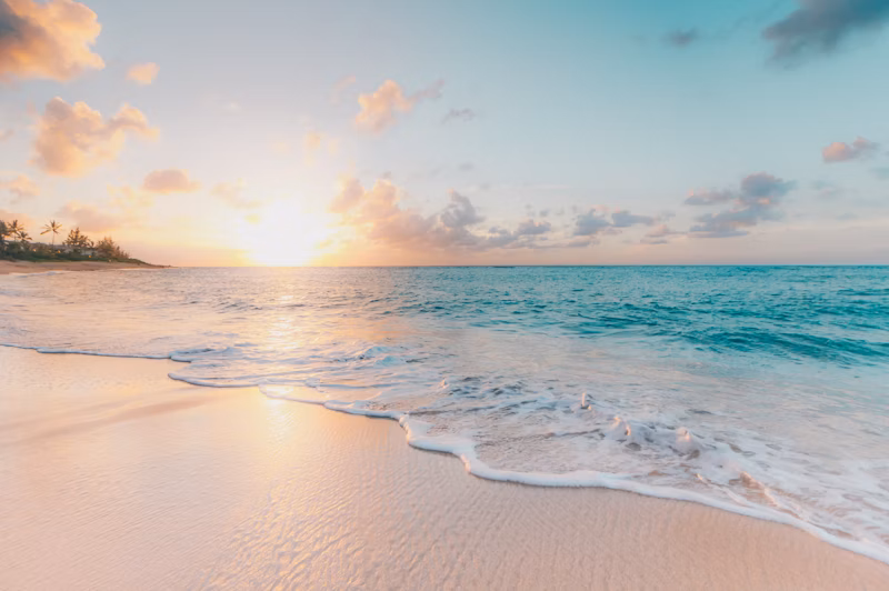 Tropical destination